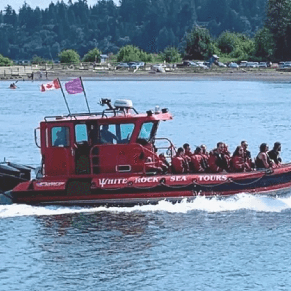 Sea Tours & whale watching